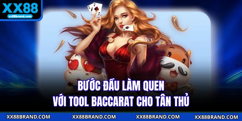 Bước đầu làm quen với tool baccarat cho tân thủ